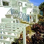 Livvo Oasis *
