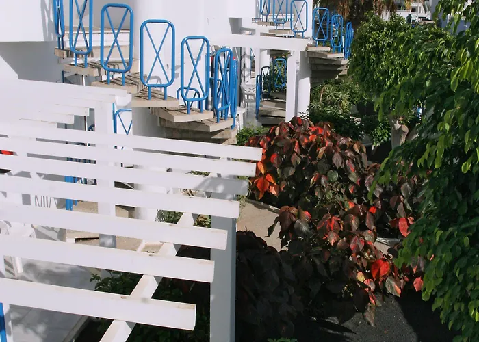 Livvo Oasis Apartament