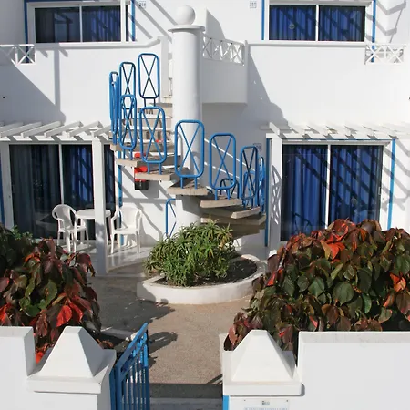 Livvo Oasis *