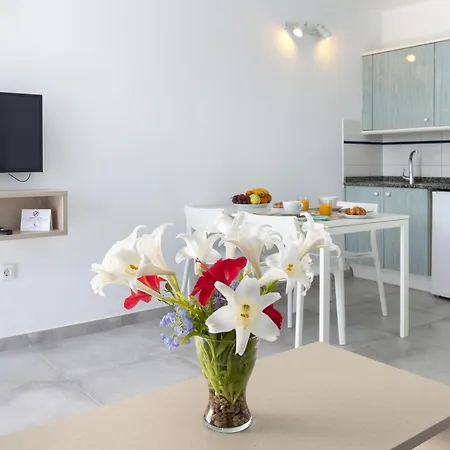 Livvo Oasis Apartamento Puerto del Carmen (Lanzarote)