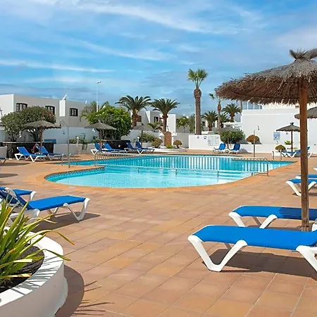 Livvo Oasis *
