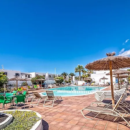 Livvo Oasis