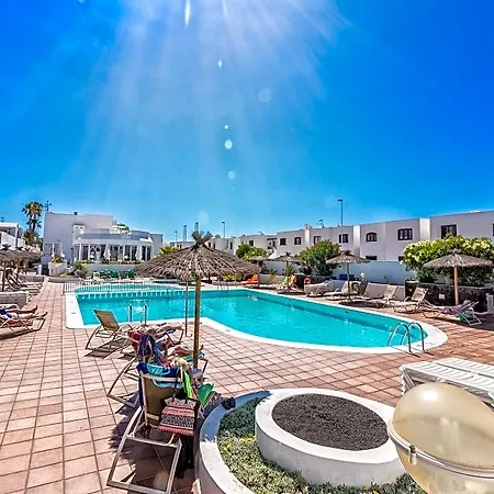 Livvo Oasis