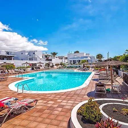 Livvo Oasis