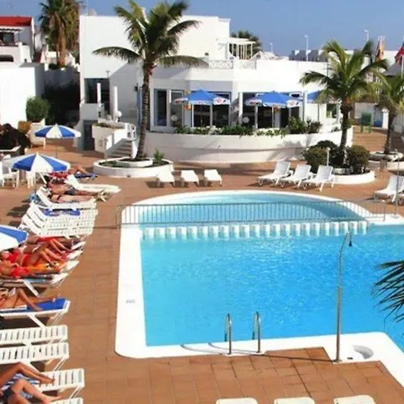 Livvo Oasis *