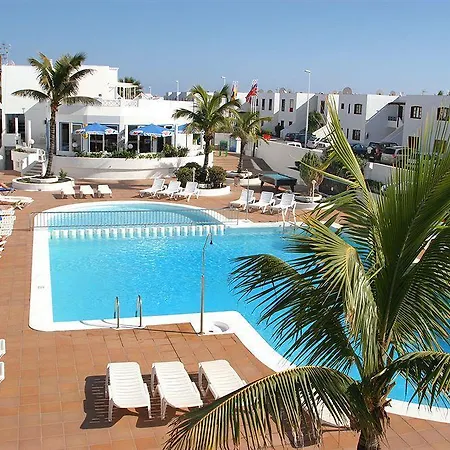 Livvo Oasis *
